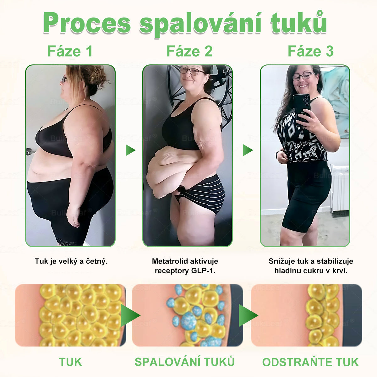 BuildLeaf® GLP-1 6-v-1 Health Solution Perorální tekutina (🧬Pouze jednou denně, viditelné změny za 7 dní) ✅ Pro obezitu, kardiovaskulární onemocnění, cukrovku, spánkovou apnoe, zdraví střev, problémy s klouby a další