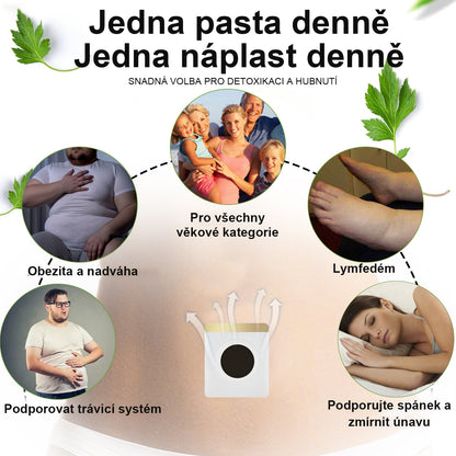 🔥50% sleva - [CE Certifikace] 🐝XRLXRL™ Méhméreg Lymphatic Detox Hubnoucí Náplast